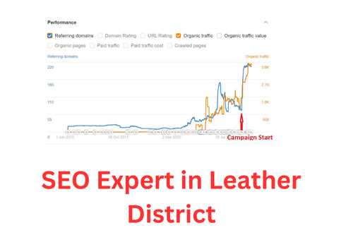 SEO Expert in Leather District